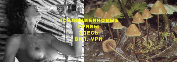 ГАЛЛЮЦИНОГЕННЫЕ ГРИБЫ Верхний Тагил