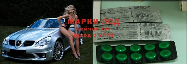 ГАЛЛЮЦИНОГЕННЫЕ ГРИБЫ Верхний Тагил