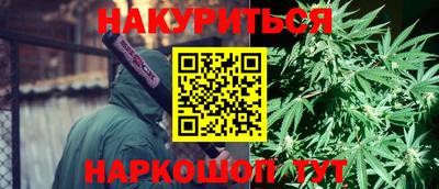 гидропоника Тверь