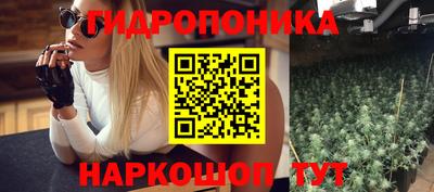 стафф Тара