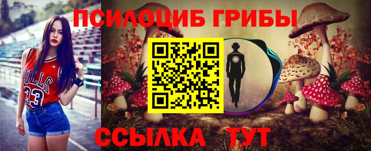 Псилоцибиновые грибы Magic Shrooms Славянск-на-Кубани