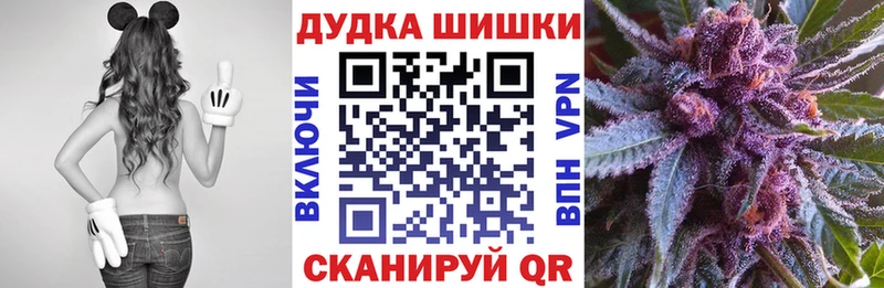Бошки Шишки план Славянск-на-Кубани